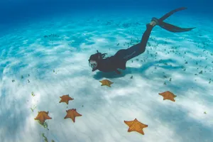 Desde Cozumel: tour en barco por 3 arrecifes con bebidas y snorkel